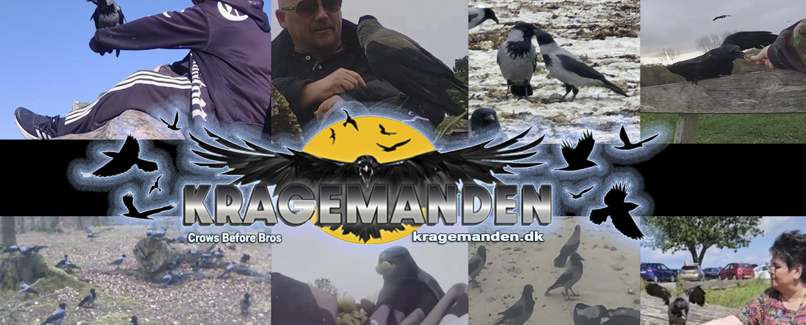 Kragemanden.dk