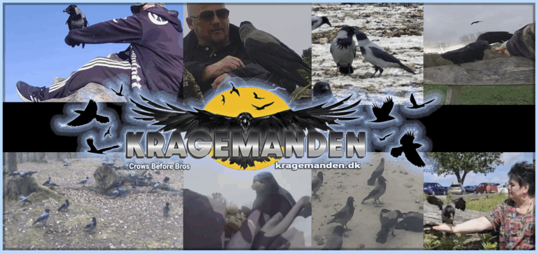 crowman