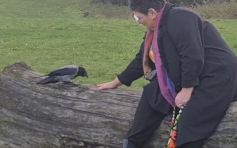 Kragekonen og Pjuske